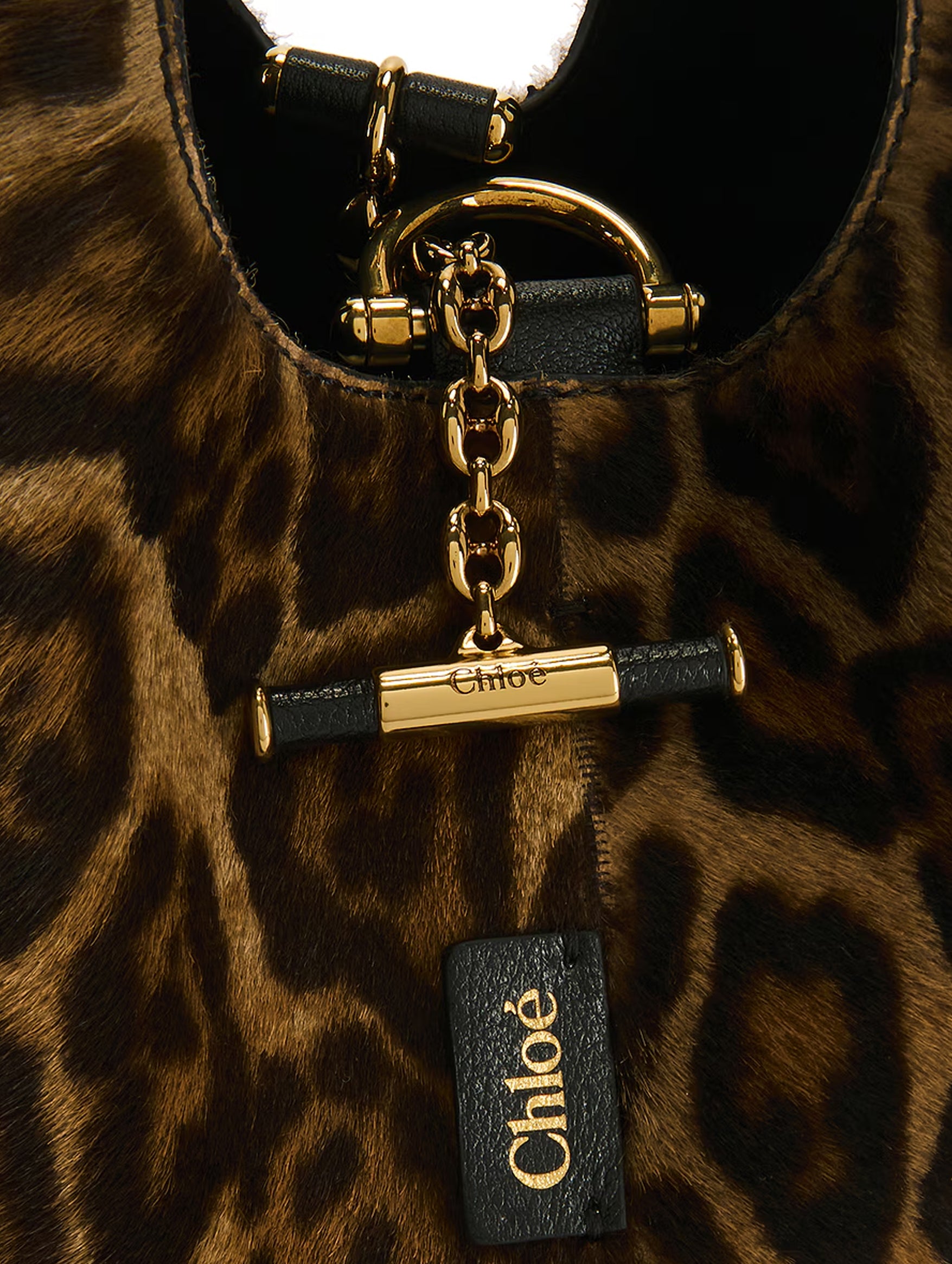 Chloé Balloon Small Hobo Bag in Jungle Brown